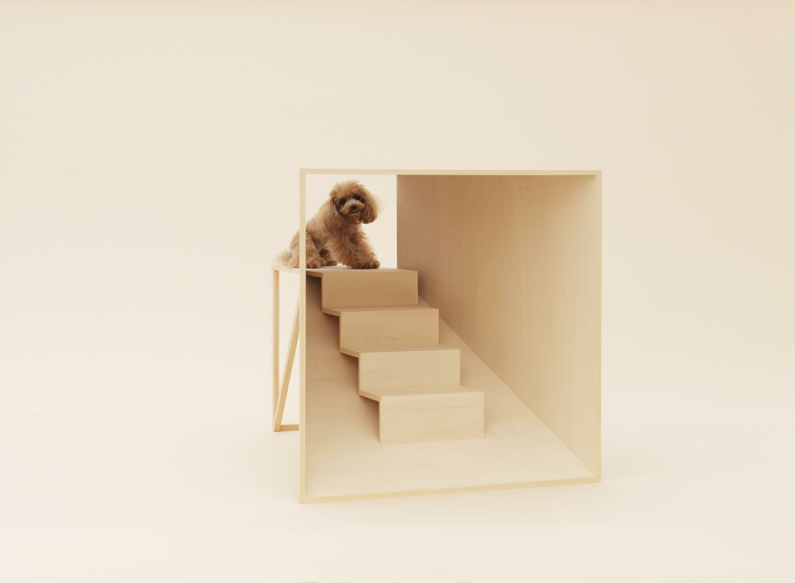 Architecture for Dogs reconsider everyday objects with man’s best friend in mind