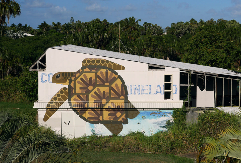 We love Amok Island's large-scale minimal, geometric murals of native Australian species