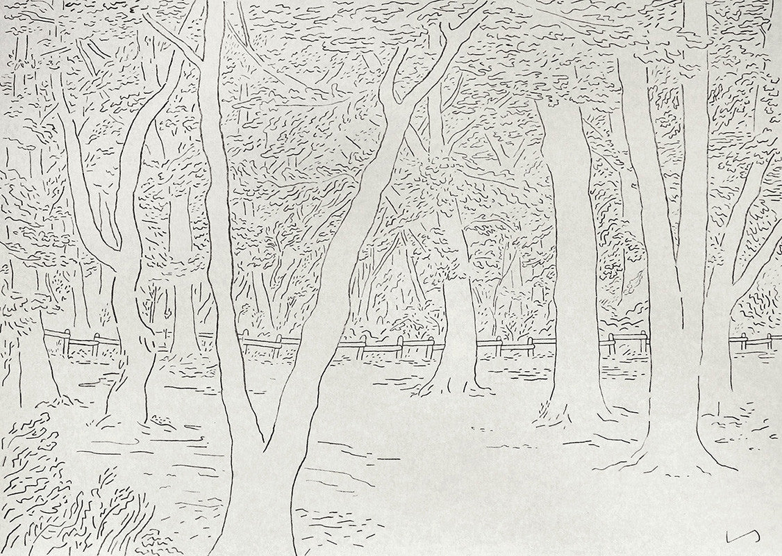 Delicate lines and negative space from Liam Stevens
