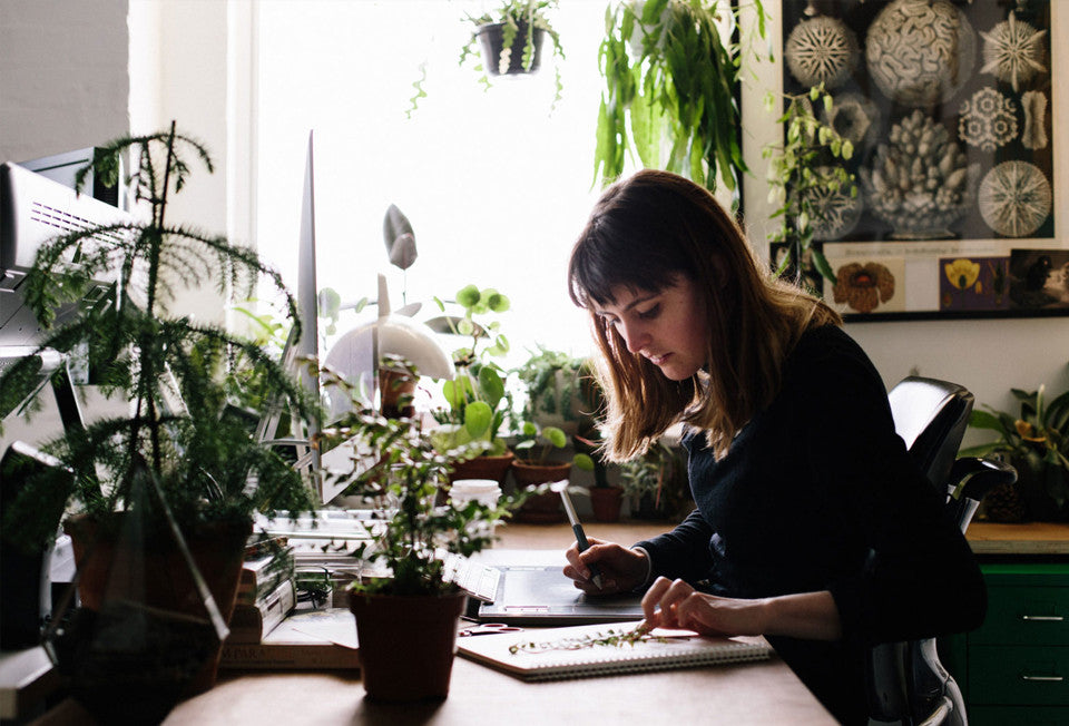 The highly detailed, super intriguing botanical illustrations of Katie Scott