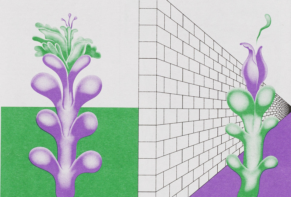 The Smudge: a new monthly riso newspaper talking current issues and activism