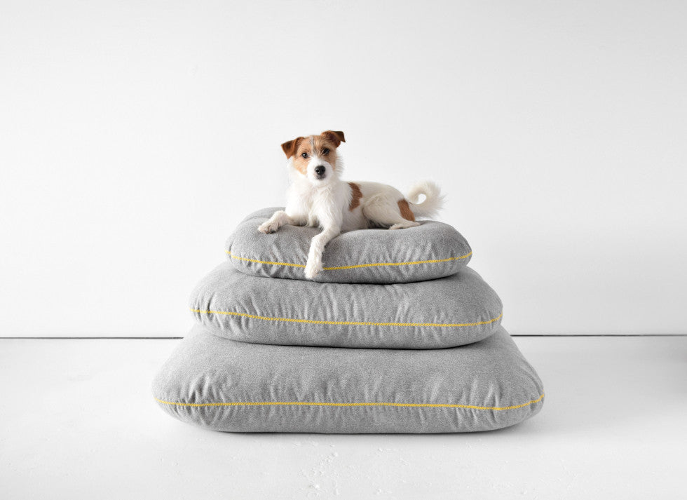 Dog Milk is fuelling our dog obsession